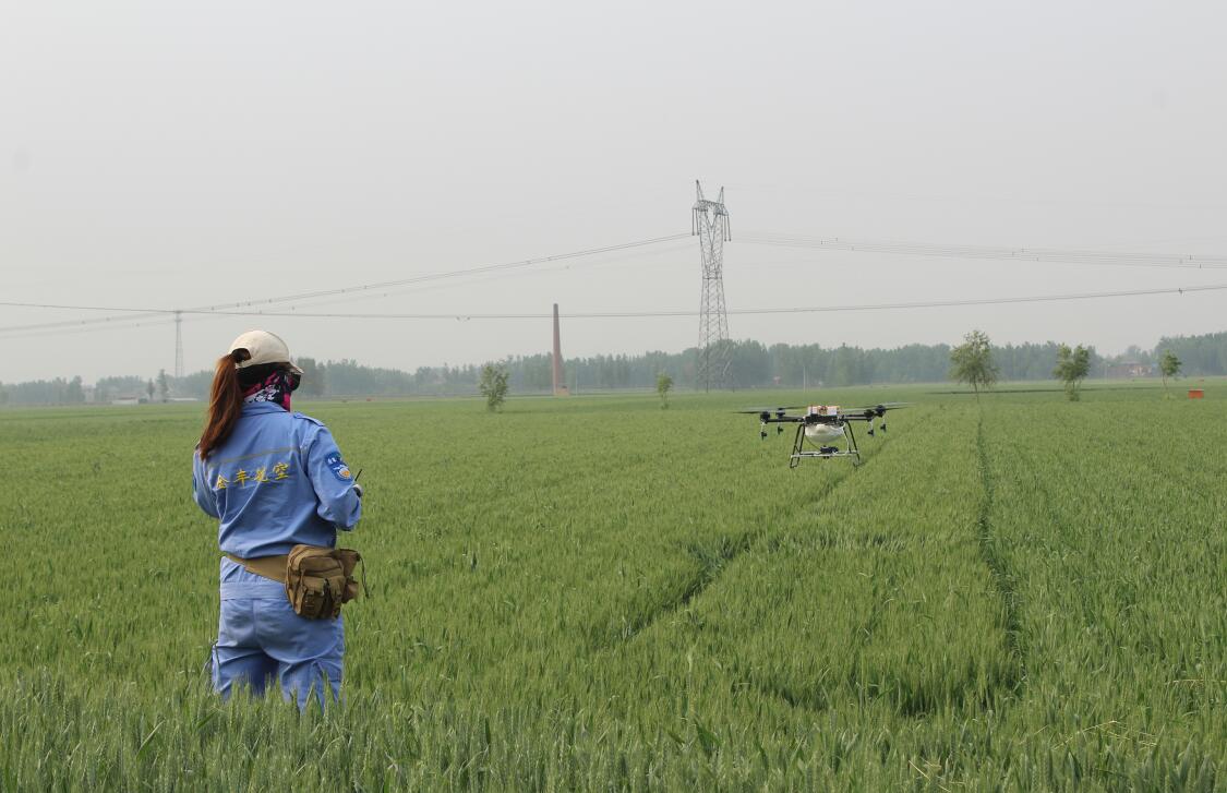 飞防植保、标普农业、全丰航空、飞防服务