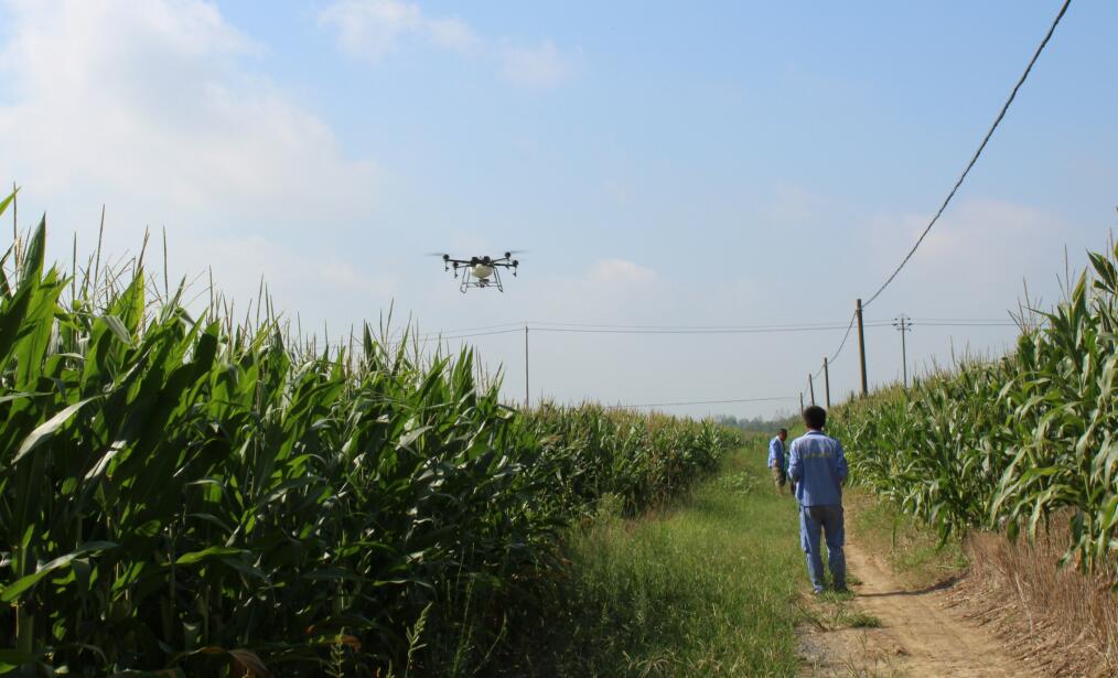 飞防植保、标普农业、全丰航空、飞防服务