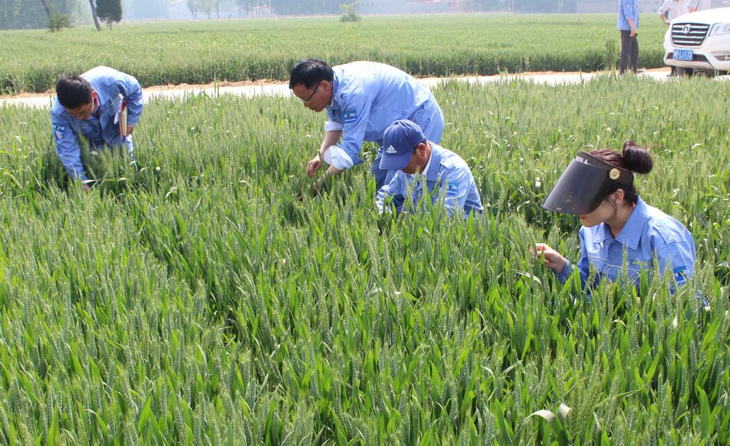 飞防服务、植保服务、全丰航空、标普农业